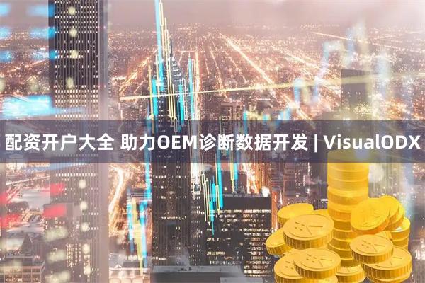 配资开户大全 助力OEM诊断数据开发 | VisualODX