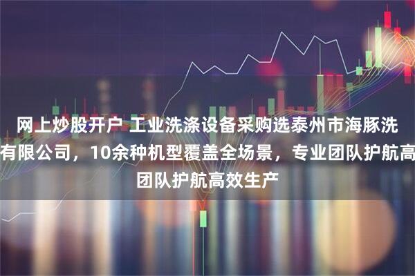 网上炒股开户 工业洗涤设备采购选泰州市海豚洗涤设备有限公司，10余种机型覆盖全场景，专业团队护航高效生产